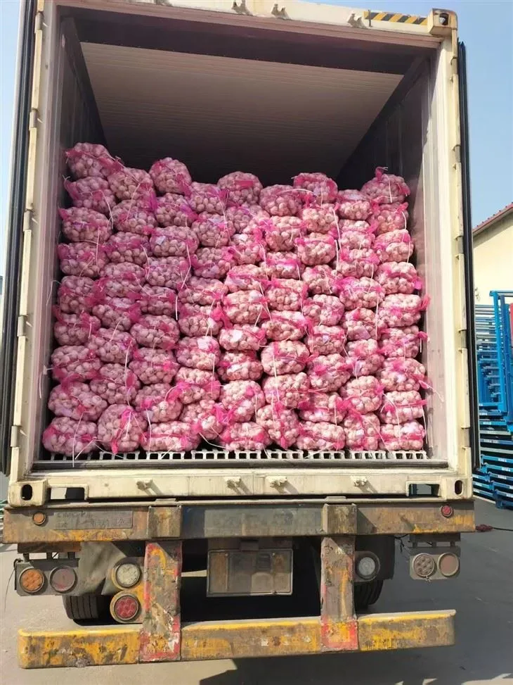 Fin blanding hvitløk